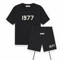 Essential 1977 IRON Tee